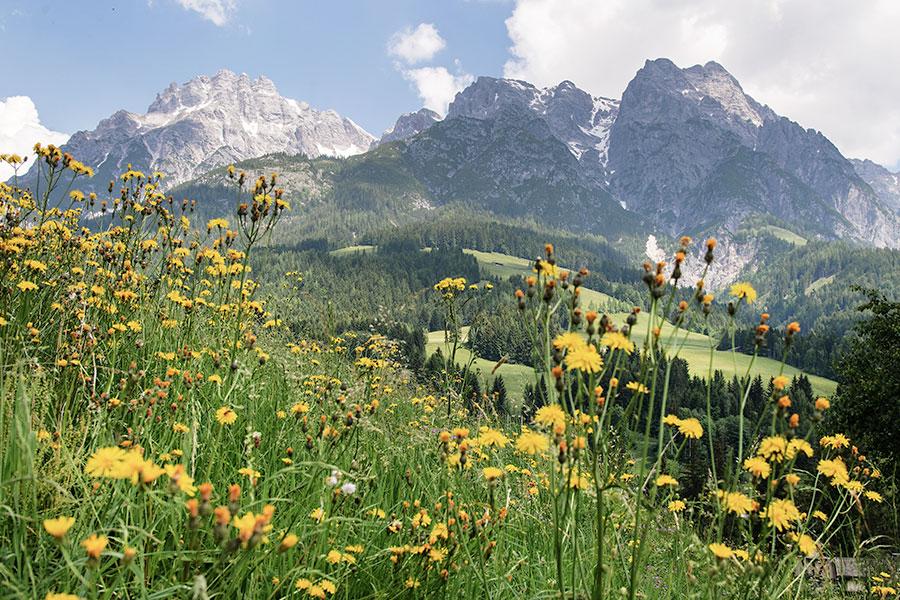 leogang loigoma bettsysteme